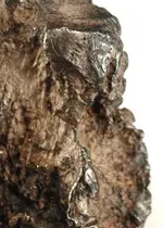 silver nugget.webp