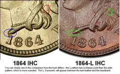 1864-L IHC.webp