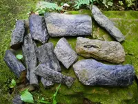 SANY0001.webp