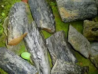 SANY0026.webp SANY0026.webp