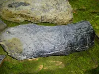 SANY0027.webp SANY0027.webp