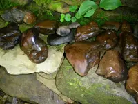 SANY0023.webp SANY0023.webp