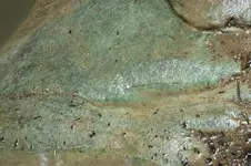 green rock 2.webp green rock 2.webp