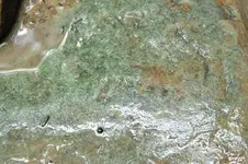 green rock.webp green rock.webp