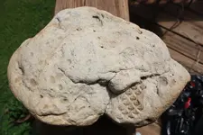 ky rock 3.webp