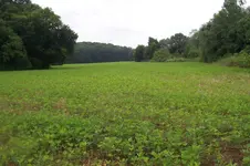 100_3650.webp