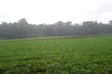 100_3661.webp