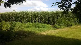IMG_20130729_173029_699.webp