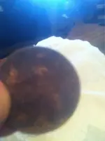 image-3546866186.webp
