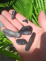 ForumRunner_20130723_160127.webp