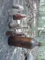 bottles.webp bottles.webp