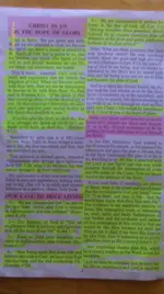 IMAG1883.webp