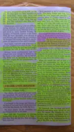 IMAG1885.webp