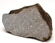specimen1021_1.webp
