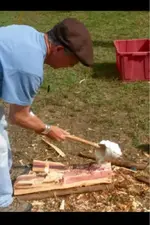image-1724457974.webp