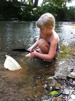 image-3851920048.webp image-3851920048.webp