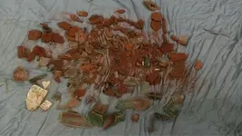 image-194876712.webp