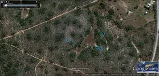 Area201dowsed.webp