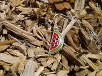 WATERMELON2.webp