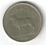 Punt.webp