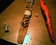 Photo007_edited.webp