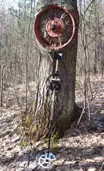 wheel2.webp