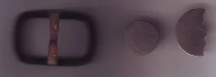 buckle and buttons.webp