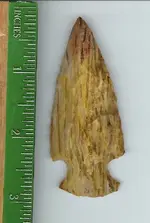 palmwoodpt.webp
