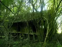 housefront.webp