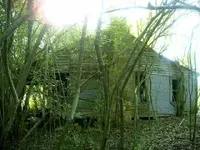 house_side.webp