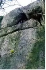 ChineseWall.webp