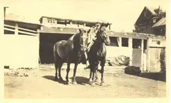 JOHNS_DETECTING_PICS_010a.webp