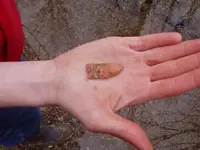 Ethans point in-hand.webp