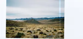 Delta Dawn 013.webp