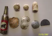 finds.webp