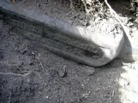 dry dig 1.webp