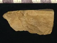 Copy of artifacts 1 470.webp