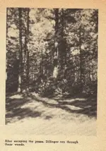 z3.webp