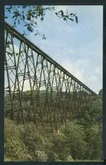 z6.webp