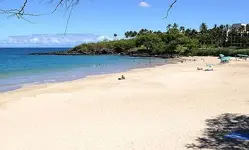 beach.webp