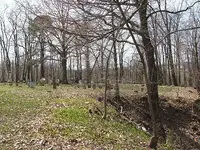 Dscf1493.webp