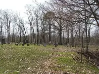 Dscf1494.webp
