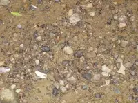 P7010433.webp