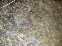 P7010436.webp