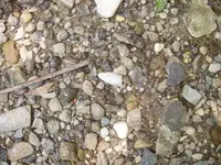 P7010438.webp