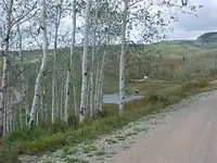 MVC-004S.webp