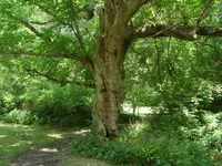 DSC02621.webp