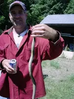 snake1.webp