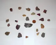Haul May 22 2007 small.webp