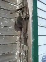horse.webp